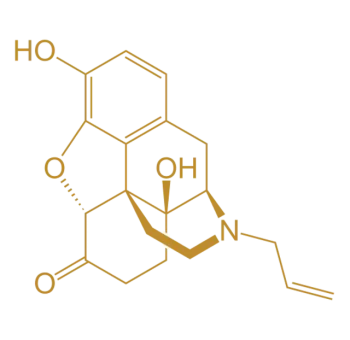 Opioid Dependence